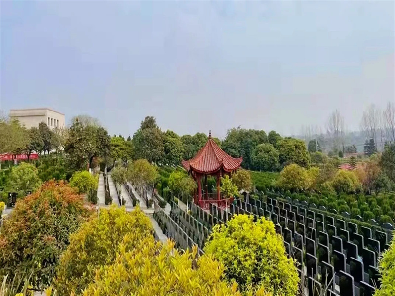 雪景-俯瞰